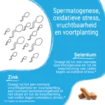 Patris-Health_Fertil-Mannen_Ingrediënten-1