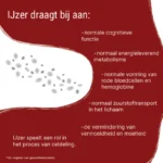 Patris-Health_IJzer-50mg_Ingredienten