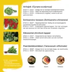 Patris-Health_Lever-Complex_Ingredienten-2
